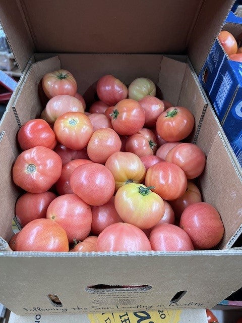 Tomato BeafSteak 6x7, 25 lbs Case, USA
