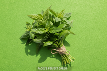 Basil ,EA