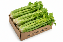 Celery Count 24 , Case , USA