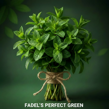 Basil ,EA