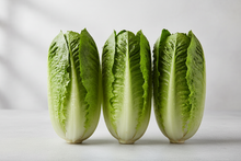 ROMAINE HEART 12X3