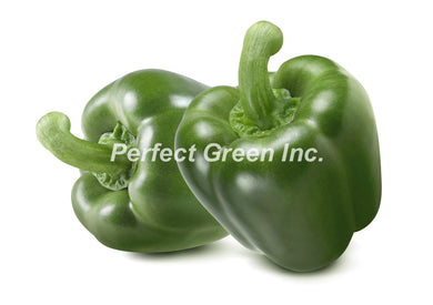 Green Pepper Large 25 lbs, Case, USA