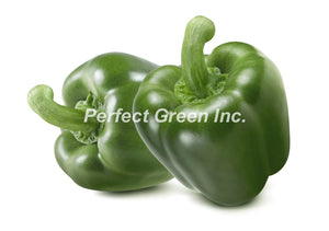 Green Pepper Large 25lb, Mexico Large