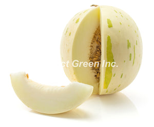 Melon Honeydew Count 5, Each, USA