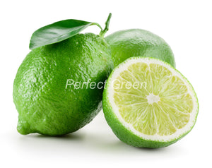 Lime Count 63, Each, Mexico
