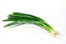 Onion Green Count 48