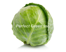 Cabbage Green Count 12