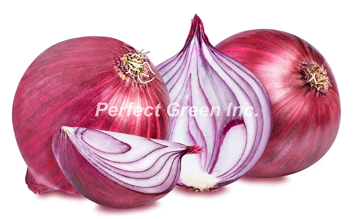 Red Onion, lbs , USA