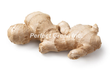 Ginger Root, lbs, China