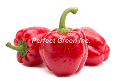 Pepper Red Large 25lb, Case, Mexico