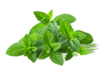 Mint Bundles ,EA