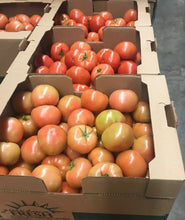 Tomato H.H 25 lbs ,Canada