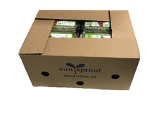 Alfalfa Sprouts 12 pints, USA