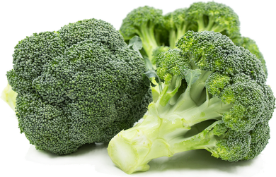 Broccoli Count 18, Case , U.S