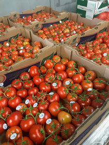 Tomato Cluster 11 lbs, Canada (small size)