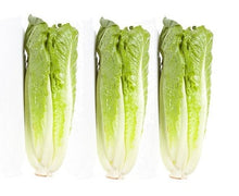 Lettuce Romaine Hearts 7X6,